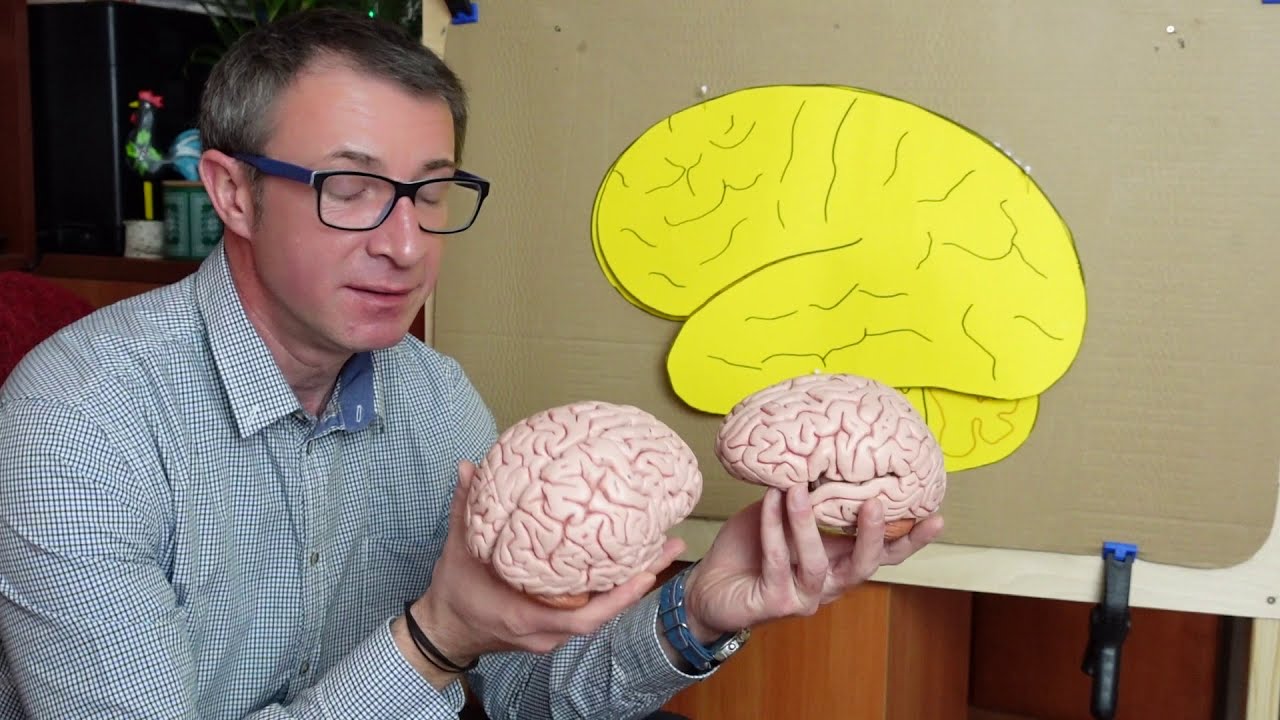 Co się kryje w mózgu psychopaty