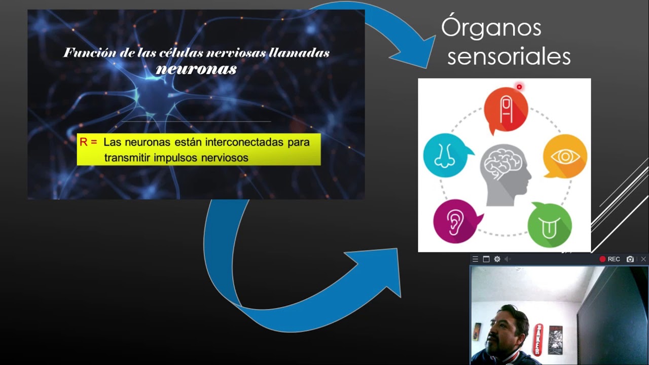 Biología. ¡A que te pico el ojo!