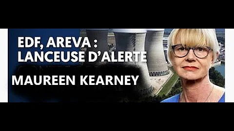 AREVA - Affaire Maureen Kearney viole et scarifie - Enqute de Caroline Michel-Aguirre