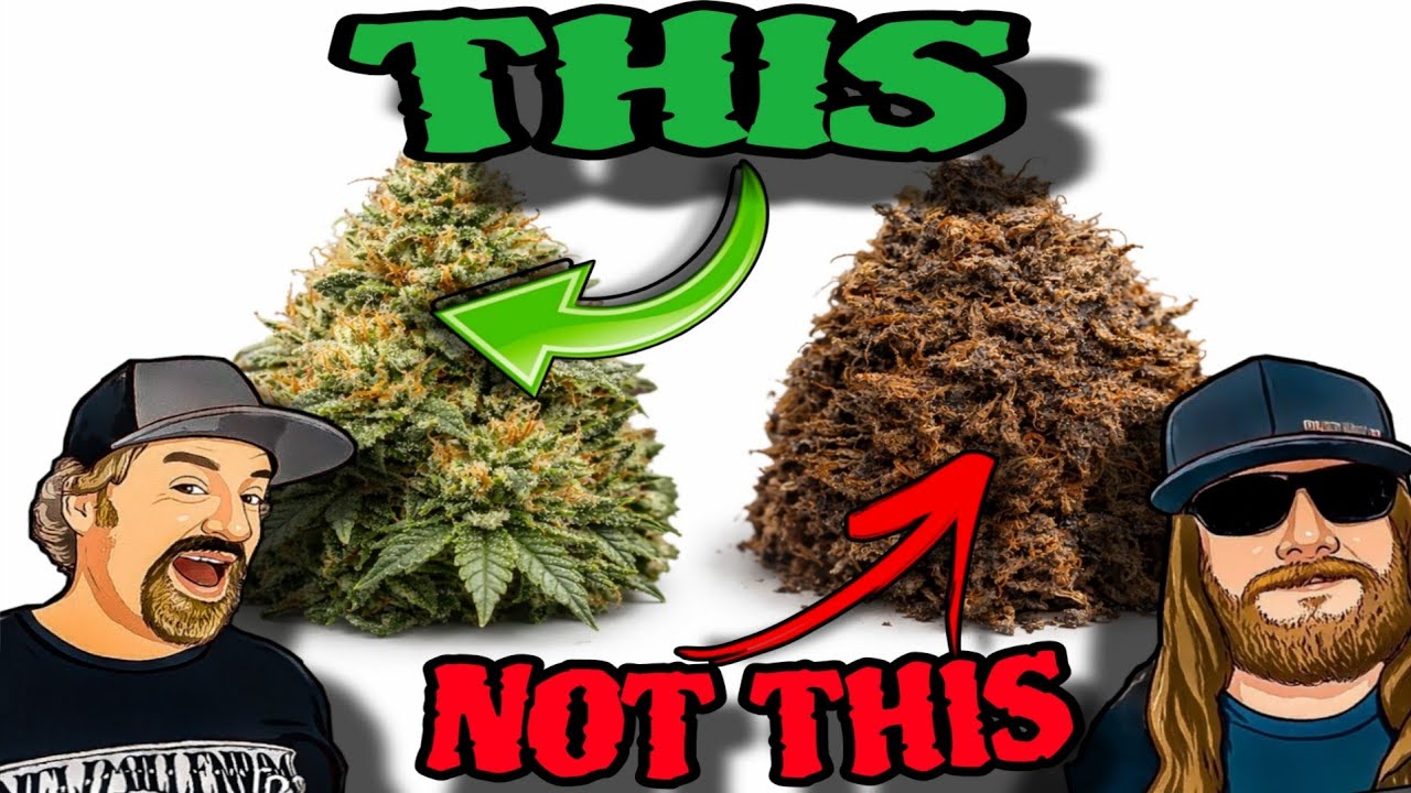 This Will Change Your Cannabis (Without Losing Flavor & Terpenes)