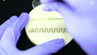 Functional Destruction: Utilizing sustainable materials' physical transiency for electronics appl...