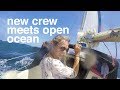 New crew meets open ocean - Sailing Tarka Ep. 19