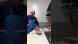 Filleting Gummy Shark AU