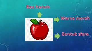 Kemahiran Proses Sains - Memerhati