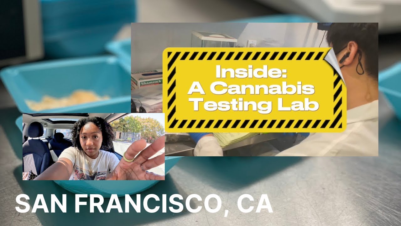 Inside: A California Cannabis Testing Lab - YouTube
