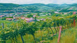 Quintarelli & Valpolicella