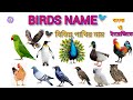 🐦"BIRDS NAME" 🐦in English &amp; Bangla 🐦 | Learn Bird Names for Kids | Easy &amp; Fun Learning Video