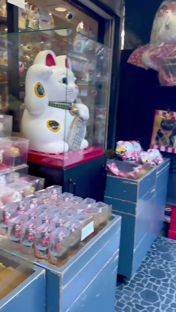 I just can’t get maneki-neko out of my head ?