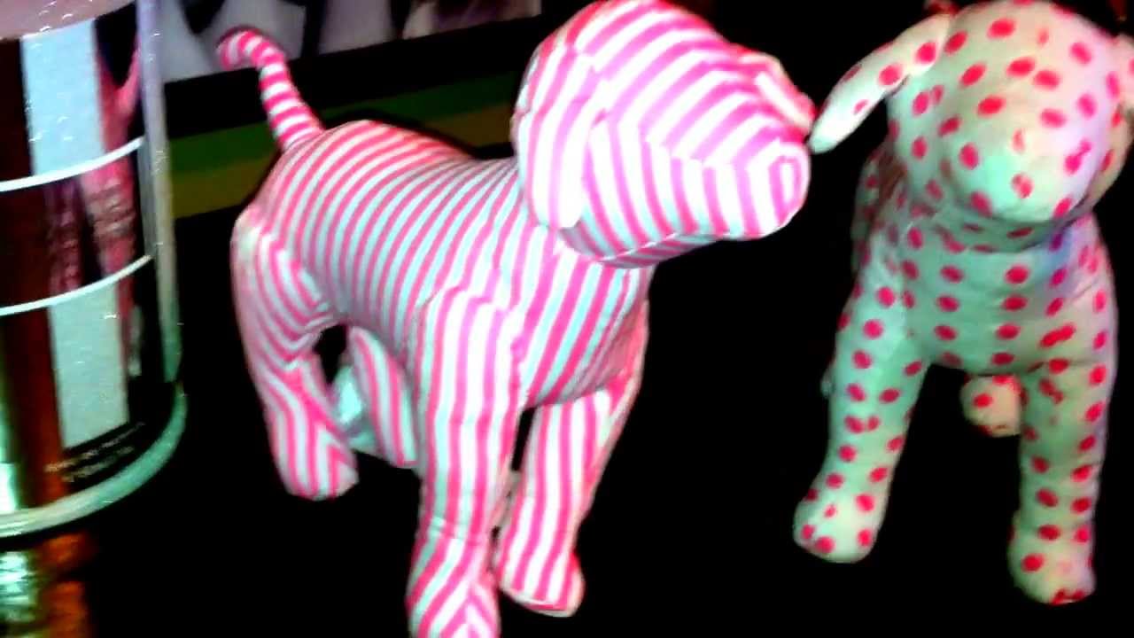 Victoria's Secret Pink Dog Collection YouTube