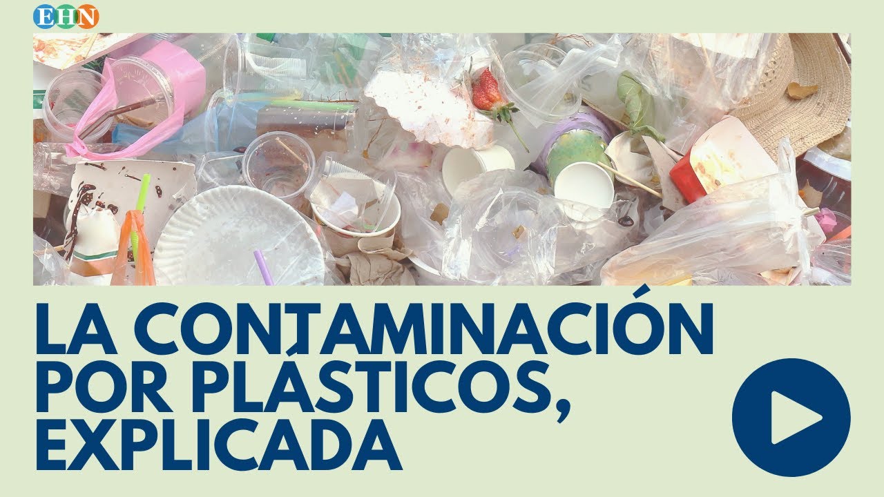 Envases plásticos para alimentos, estas son sus consecuencias