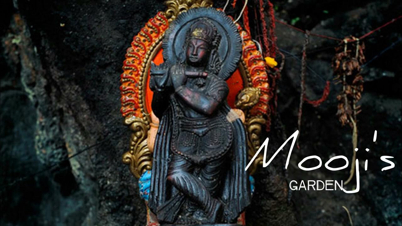 Krishna's Flute Mooji's Garden YouTube