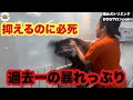 【初来店】40キロの大型犬が最初から大暴れビビリな噛み犬バーニーズ