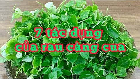 Tác dụng của rau càng cua cho sức khỏe, cách sử dụng @NTN SL