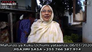Kwa ushirikiano huu unashindwaje kuwa Tajiri katika Mradi wa kuku?#Kuku Uchumi