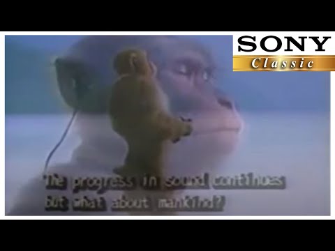 The same sad monkey listening to music.