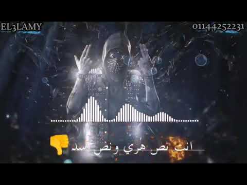 انا اقل ادبي اوي اوي