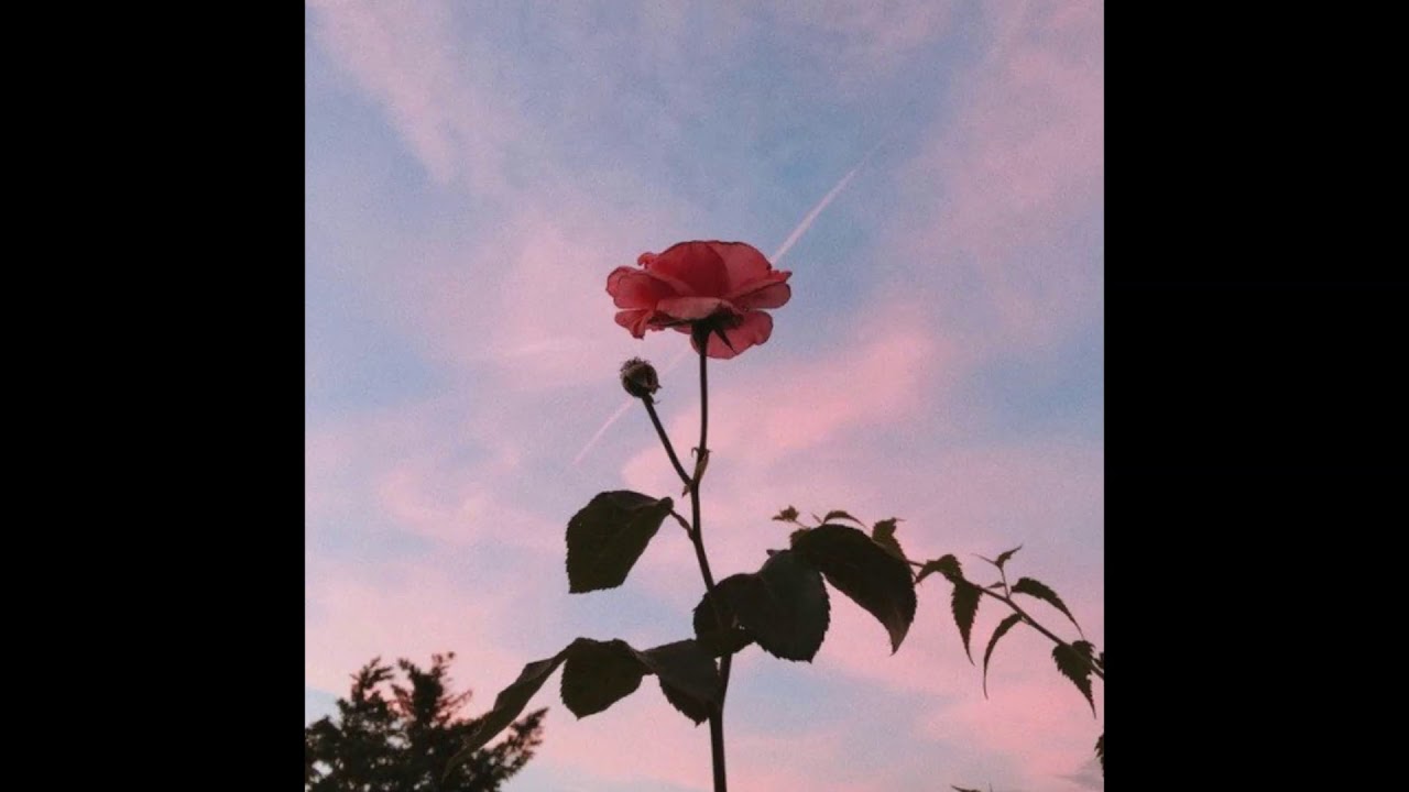 [FREE FOR PROFIT] The Kid Laroi Ukulele So Done Type Beat "Budapest" (Prod.alexbrazy) YouTube