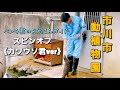 【市川市動植物園スピンオフ】パンチ君飼育員お兄さんガイド 《カワウソ君ver》2026/03/06
