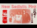 これぞ!New Sadistic Pink とういバンドの曲【君に直撃】