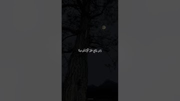 "تلاوة تأخذك لعالم تاني… بصوت المنشاوي"  #اكسبلور #راحة_نفسية #لايك