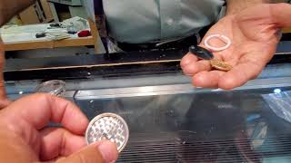 REVIEW: BRAND NEW TACHYMETER CHRONOGRAPH SEIKO SSB039P1 BLUE DIAL MENS WATCH. 