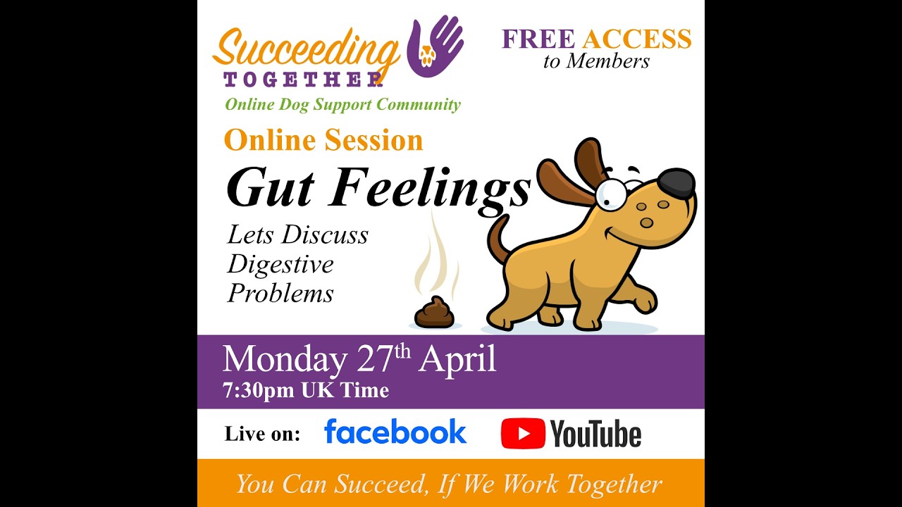 Gut Feeling: Lets Discuss digestive problems