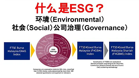 什么是ESG？环境（Environmental）社会（Social）公司治理（Governance） - 天天要闻