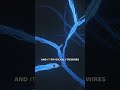 Scientists Found A Hidden Network In Your Brain