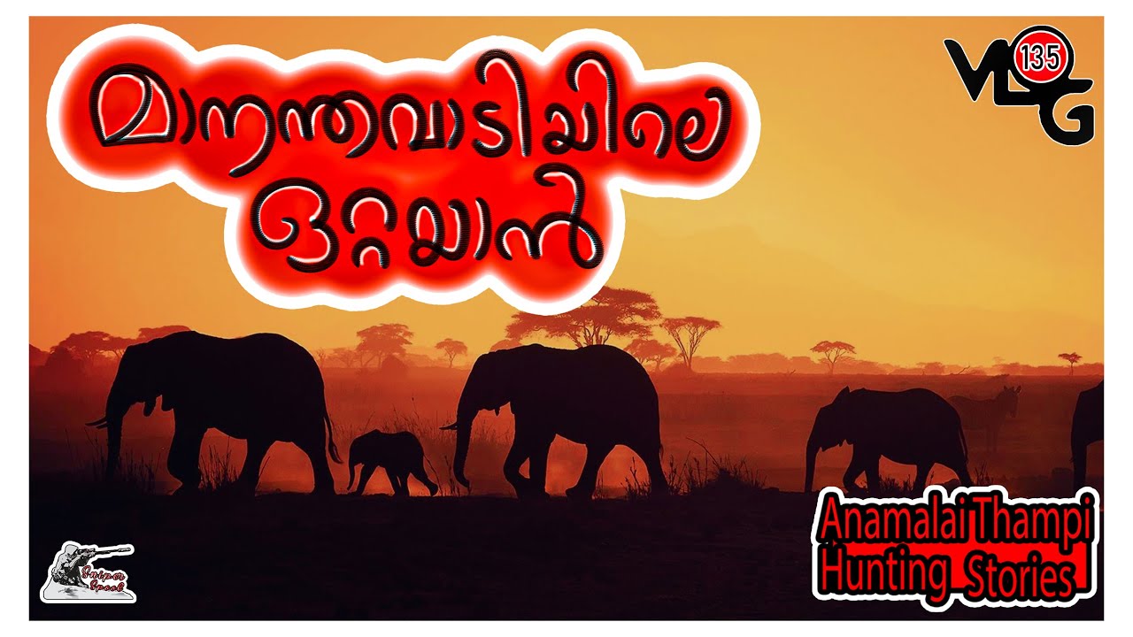 മാനന്തവാടിയിലെ ഒറ്റയാൻ | Rogue Elephant | Anamalai Thampi | Sniper Spool | Hunting Story Malayalam