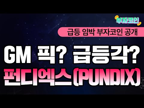   GM의 픽 펀디엑스 PUNDIX 급등 각