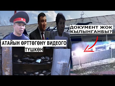 Video: Ысык желимдин күйгөнүн кантип дарылоо керек