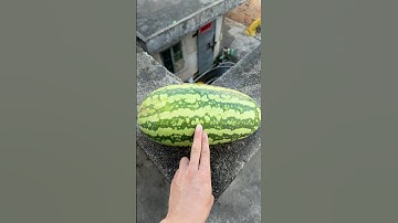 Experiment: Will a watermelon explode if it rolls off a tall building? 🍉💥#shorts