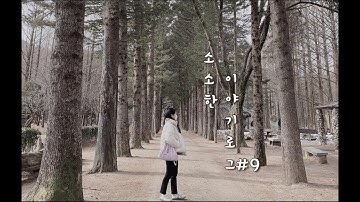 (소소한이야기로그#9) 친구랑남이섬 | 짚라인타기 | 가평드라이브가기