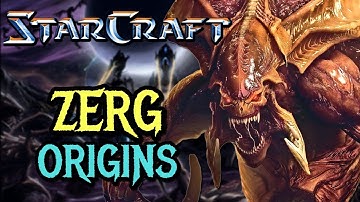 Zerg (StarCraft) Origins - A Terrifying And Ruthless Amalgamation Of Biologically Advanced Aliens.