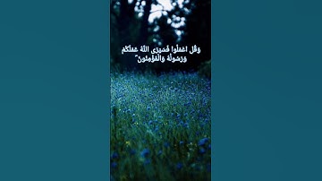 وقل اعملوا فسيرى الله عملكم 💙#القرآن_الكريم #تلاوة_خاشعة #quran