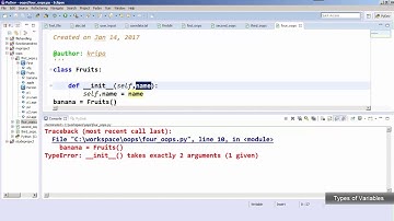 Types of Variable in Python - Object Oriented Programming