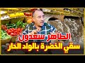 الطاهر سعدون كارثة بوسكورة الخضر المسقية بالواد الحار 