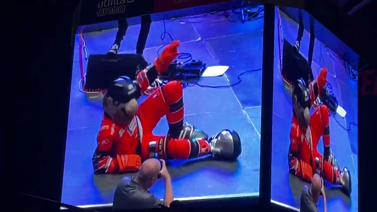 Steeler Dan being Steeler Dan