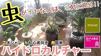 ハイドロカルチャー Youtube