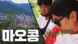 지친 당신을 위한 해결책! 도시 스트레스 탈출! 타이베이 마오콩 힐링 여행이 여기 있습니다⛰️🇹🇼 | 당대가&홍봉투어 screenshot 4