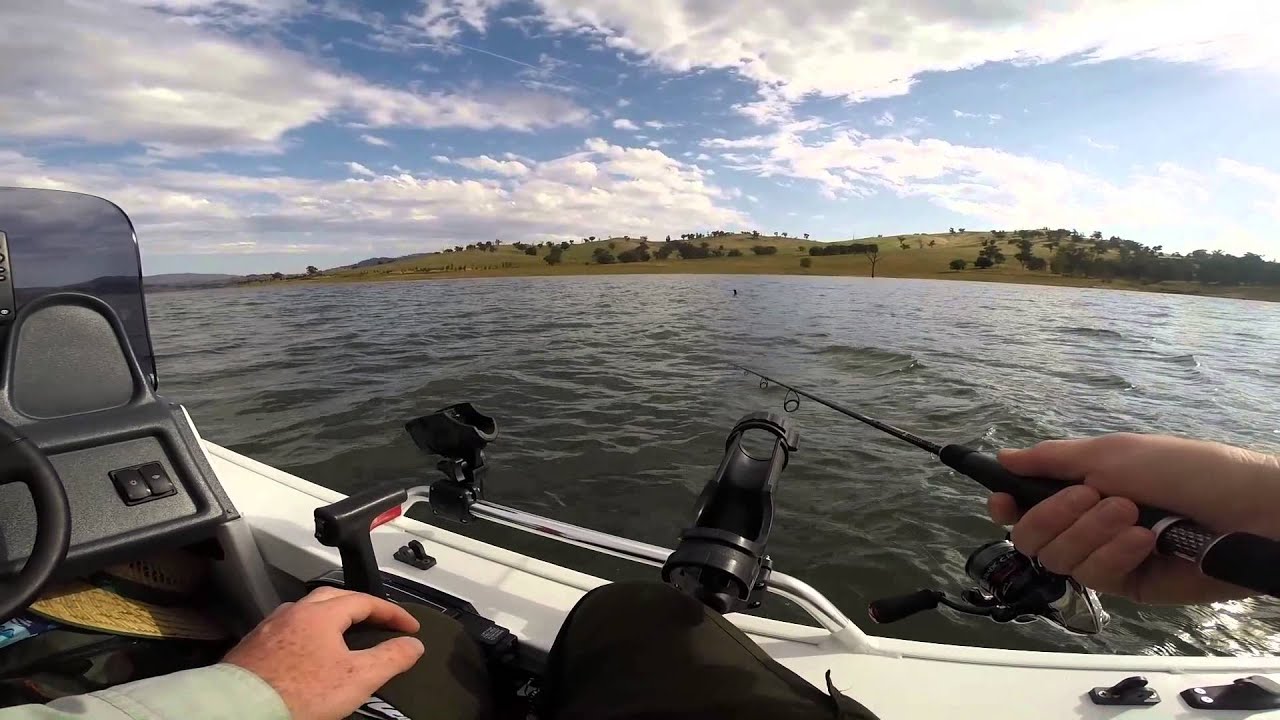 Lake Hume Yellowbelly and Redfin YouTube