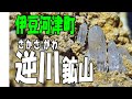 伊豆には水晶がいっぱい‼【静岡県河津町･逆川鉱山】ヒラタクワガタもGet！