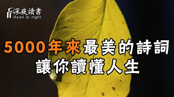 5000年來最美的10首詩詞，讓你讀懂人生！人生最值得挽留的是這樣【深夜讀書】 - 天天要聞