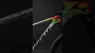 Dream Build - Vtt Xc Giant Anthem Champion Du Monde - Alan Hatherly