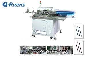 Programmable wire cutting stripping twisting and tinning machine with conveyer beltRS-5508