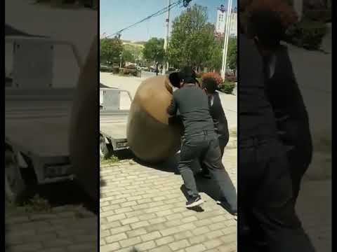 عمال اغبياء اكثر لحظات الغباء التي تم التقاطها امام الكاميرا