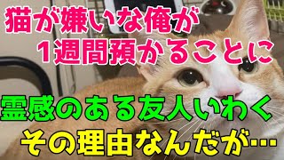 猫が苦手な俺が 訳があって嫌々1人暮らしの姉の飼い猫を預かった そこに霊感のある友人が遊びに来た お前が今回 預かることになった理由 だが 姉よ早く帰ってきておくれ 猫の不思議な話 朗読 Youtube
