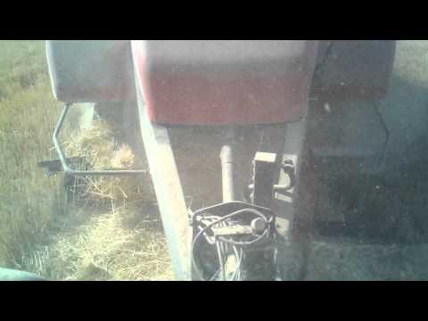 Bailing Wheat straw