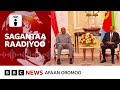 Bulchiinsi Itoophiyaa Sirna Paarlaamaa irraa gara Sirna Pirezidaantummaatti jijjiiramuuf jiraa?