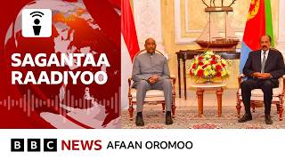 Bulchiinsi Itoophiyaa Sirna Paarlaamaa irraa gara Sirna Pirezidaantummaatti jijjiiramuuf jiraa?